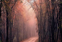 Crypto Rally Today: What's the *Real* Reason Bitcoin & Altcoins Are 'Up' on Thanksgiving?