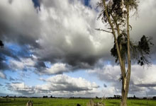 Rocket Launch Today: What time, where to watch, and if SpaceX is launching