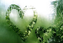 Crypto Rally Today: What's the *Real* Reason Bitcoin & Altcoins Are 'Up' on Thanksgiving?