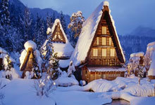 Crypto Rally Today: What's the *Real* Reason Bitcoin & Altcoins Are 'Up' on Thanksgiving?