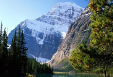 Crypto Rally Today: What's the *Real* Reason Bitcoin & Altcoins Are 'Up' on Thanksgiving?