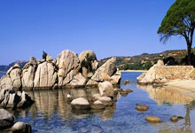 Crypto Rally Today: What's the *Real* Reason Bitcoin & Altcoins Are 'Up' on Thanksgiving?